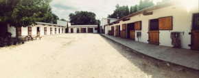 Maison au milieu des chevaux